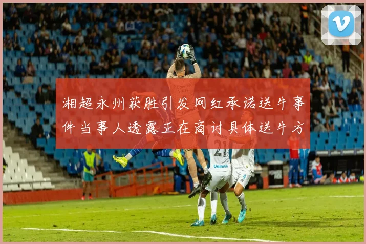 湘超永州获胜引发网红承诺送牛事件当事人透露正在商讨具体送牛方案