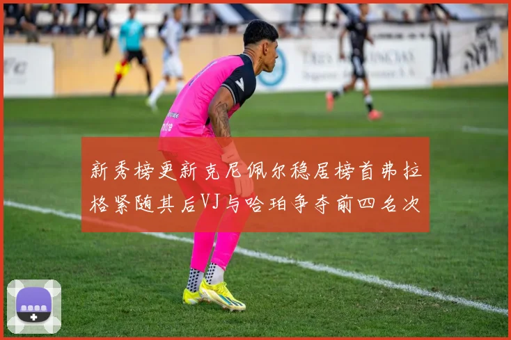 新秀榜更新克尼佩尔稳居榜首弗拉格紧随其后VJ与哈珀争夺前四名次