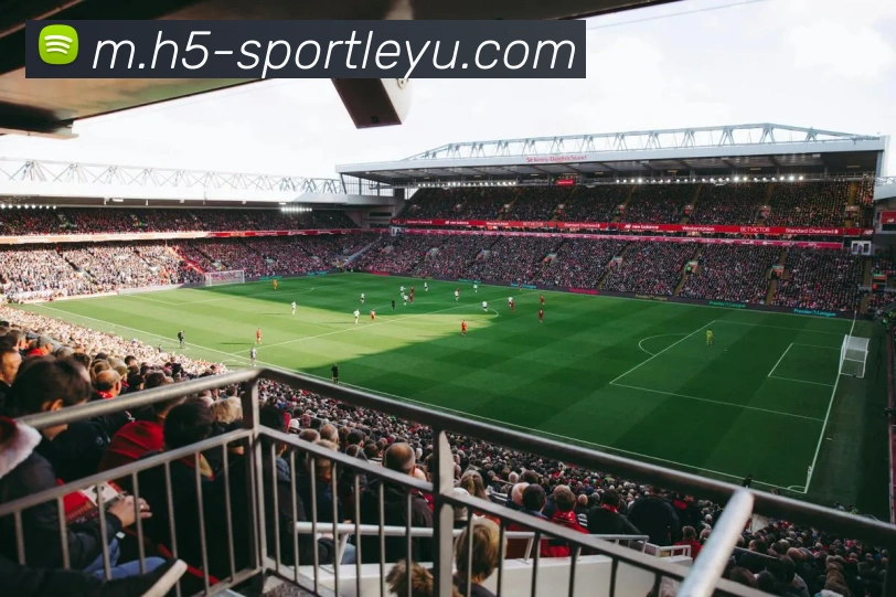 乐鱼体育平台生态图