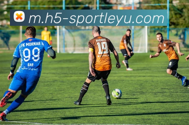 乐鱼体育APP 封面图